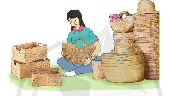 Biểu đồ hình tròn và số liệu phần trăm, dùng để phân tích tỉ lệ sử dụng xe ô tô 40 chỗ trong ngành vận tải
