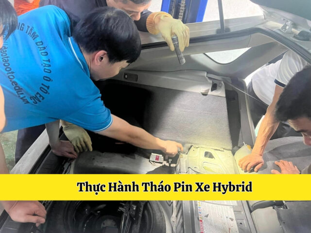 Phân loại các loại xe ô tô dựa trên nhiều tiêu chí