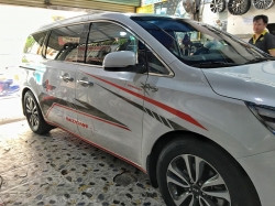 Dán tem decal thiết kế xe KIA Sedona 2019