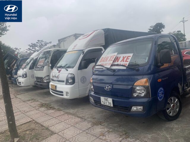 ban xe tai cu tai thai binh