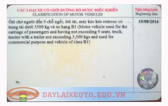 So sánh quy định bằng lái xe ô tô và bằng lái xe máy A1 tại Việt Nam