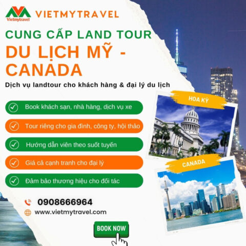 Mô hình thuê và cho thuê lại xe ô tô phát triển mạnh mẽ trên thế giới
