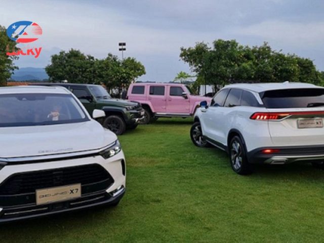 xe ô tô du lịch và dịch vụ chở tour, có xe ô tô nên kinh doanh gì để phát triển