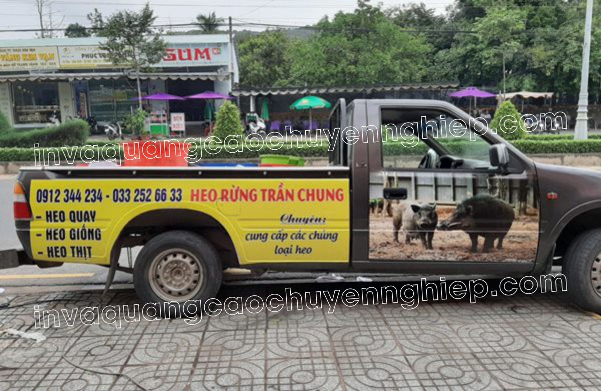 Bộ sưu tập 100+ mẫu dán decal xe ô tô đẹp nhất tại Hà Nội, đa dạng phong cách và thiết kế.