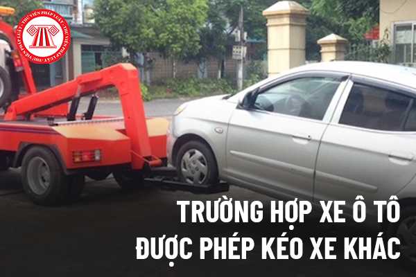 giao thong204