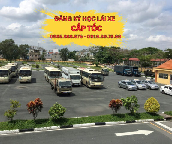Dàn xe Toyota Vios đời mới phục vụ thực hành học lái xe ô tô tại Bình Thạnh