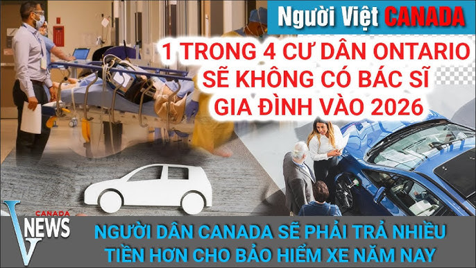 Gia đình hạnh phúc di chuyển bằng xe ô tô chở người nha trên đường