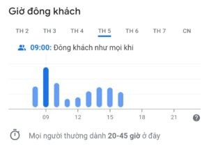 Biểu đồ thể hiện tỉ lệ khách hàng đến trung tâm đăng kiểm xe ô tô 2901S vào các khung giờ khác nhau trong ngày