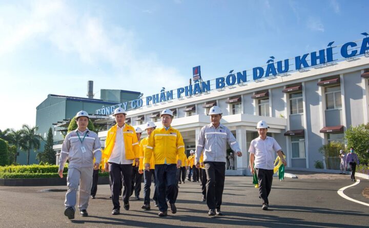 Đèn Halogen Xe Ô Tô: Lựa Chọn Phổ Biến và Những Điều Cần Biết