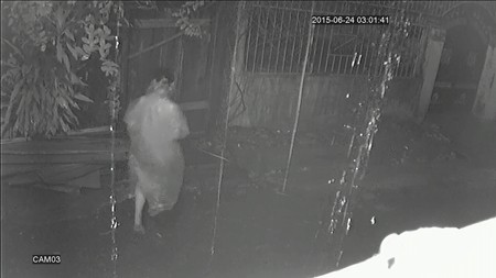 Hình ảnh nhóm đối tượng bốc dỡ đồ đạc lên xe tải trong đêm, một ví dụ về cách thức hành động của kẻ ăn trộm