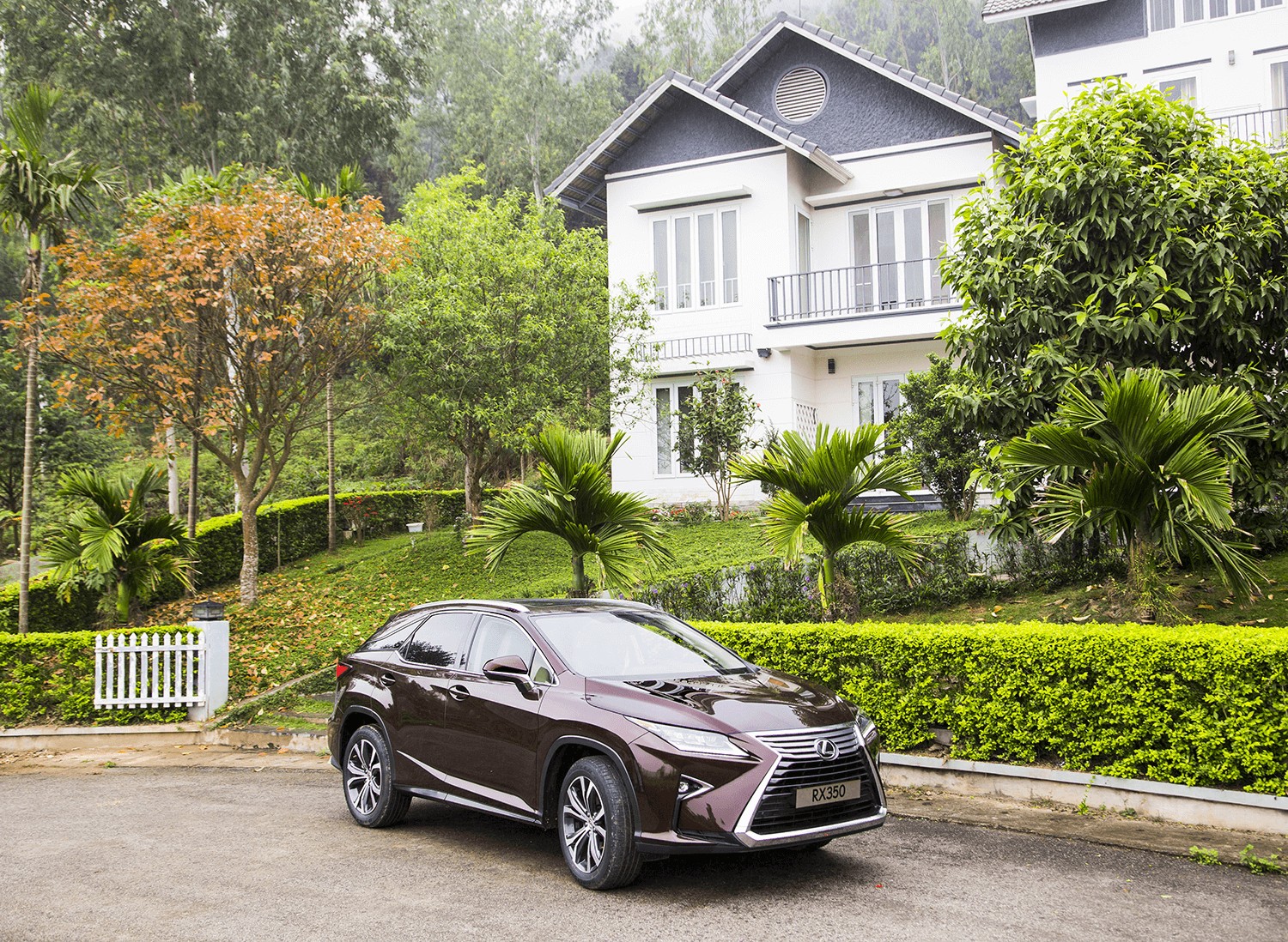 Xe ô tô Lexus RX 350, một trong những mẫu xe Lexus cũ được săn đón