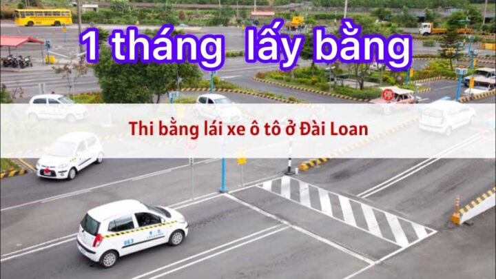 Các loại bằng lái xe ô tô phổ biến hiện nay