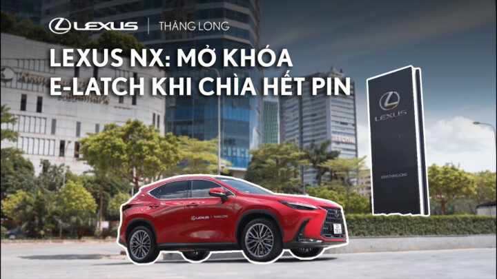 Mô tả cụm pin hybrid (HV battery) phức tạp bên trong xe Lexus, cho thấy các module pin được sắp xếp khoa học cùng hệ thống quản lý nhiệt độ để tối ưu hiệu suất và kéo dài tuổi thọ, đóng vai trò then chốt trong công nghệ xe xanh của Lexus.