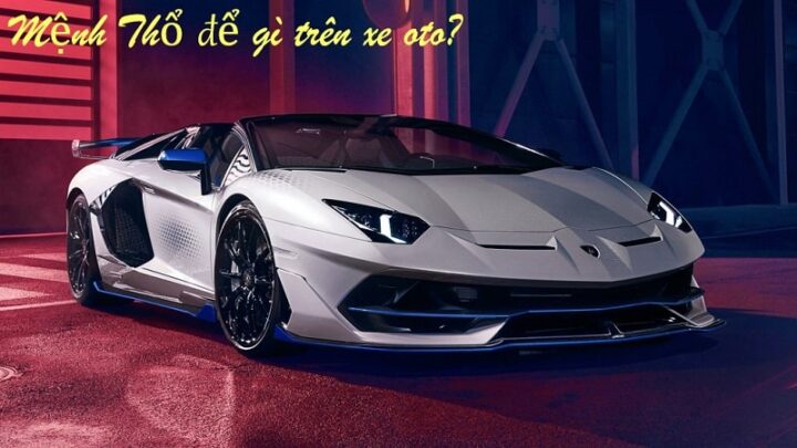 menh tho de gi trong xe o to 3