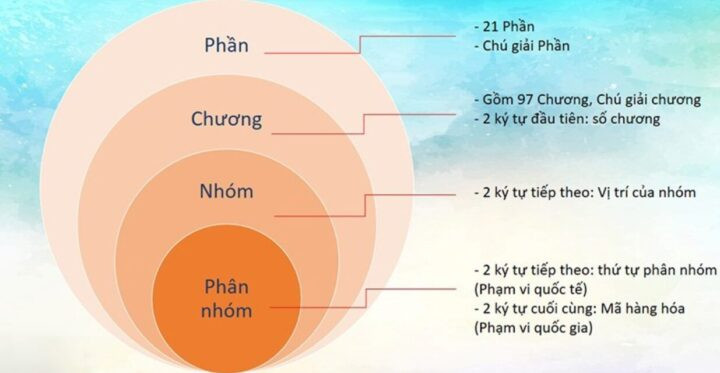 Sơ đồ phân loại mã HS code vỏ xe ô tô