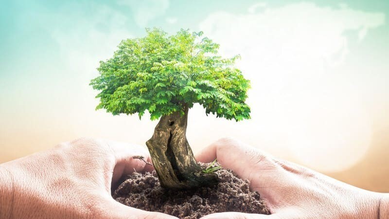 Xe ô tô điện cỡ nhỏ góp phần bảo vệ môi trường và giảm khí thải đô thị