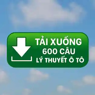 600 Câu Thi