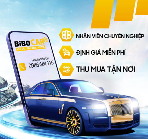 Thu mua đa dạng các dòng xe ô tô cũ ở Bình Dương