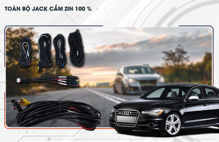 toan bo jack cam zin 100