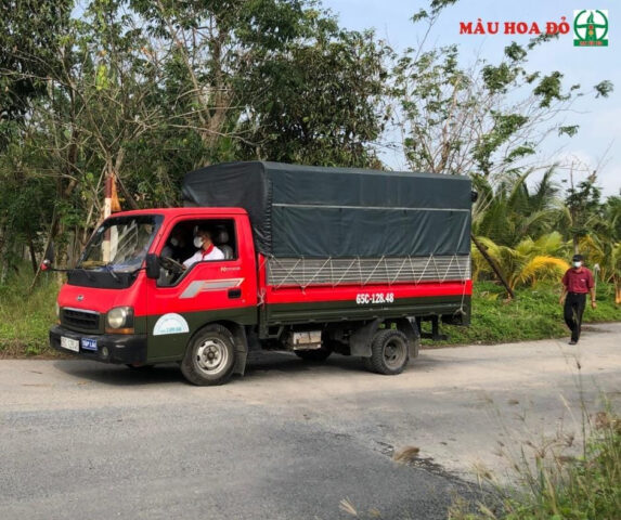 Trung tâm dạy nghề lái xe Màu Hoa Đỏ Cần Thơ: Khóa học lái xe ô tô B2 chất lượng