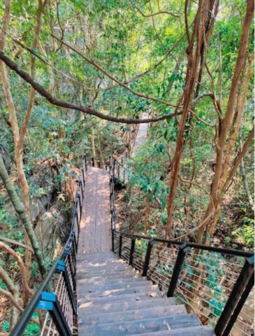 Lối đi độc đáo dẫn đến nhà hàng trong khu resort ở Lào