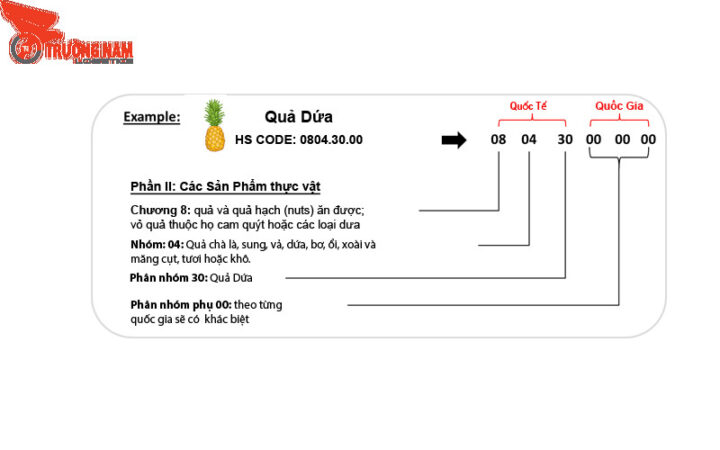 Xác định mã HS code vỏ xe ô tô chính xác rất quan trọng