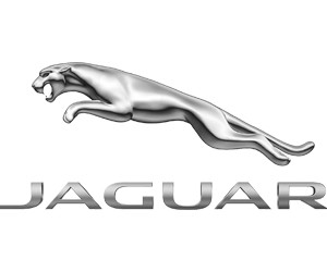 Logo xe Jaguar với hình báo đen vồ mồi, biểu tượng cho sự mạnh mẽ, hoang dại và tốc độ