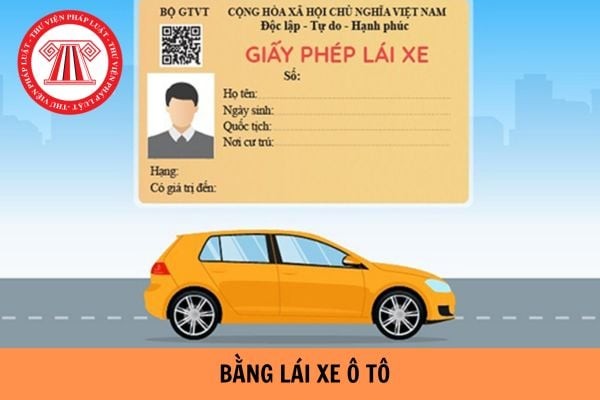 Các loại bằng lái ô tô và quy định về độ tuổi lái xe