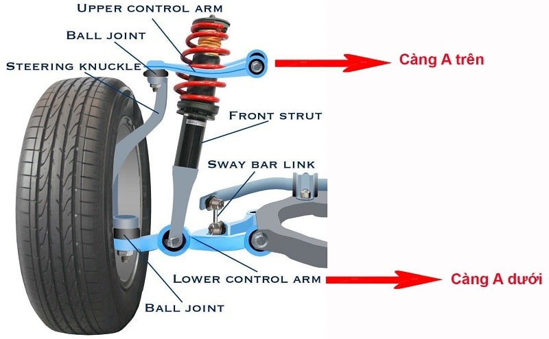 Minh họa các loại càng chữ A xe ô tô phổ biến: càng trên và càng dưới