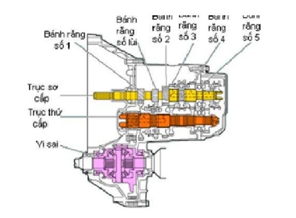 cau tao hop so hai truc f909d544 0e9a 4dfb 8ddd 3fd31f7d4036