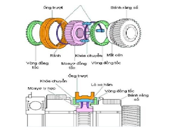 dong toc loai khoa
