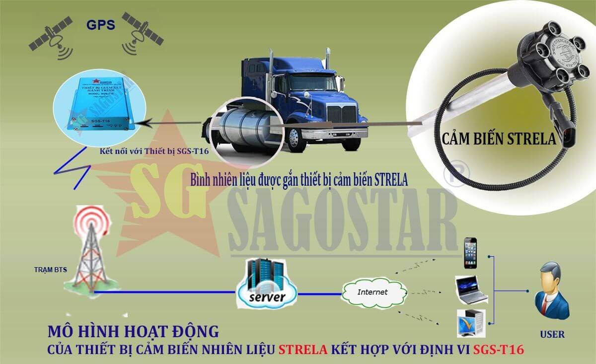 mo hinh cam bien nhien lieu strela