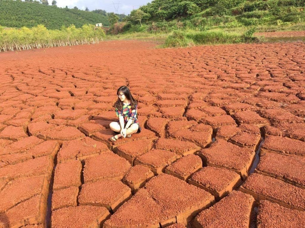 Không gian lãng mạn tại Vùng đất Chocolate, thuận tiện di chuyển bằng xe ô tô thuê khi du lịch Bảo Lộc