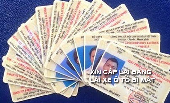 Cấp lại bằng lái xe ô tô