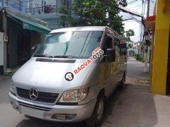 Hình ảnh xe ô tô Mercedes Sprinter 2013 màu bạc, thiết kế mạnh mẽ
