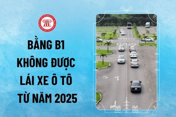 Người lái xe cầm bằng lái xe ô tô B1 và các hạng mới từ 2025