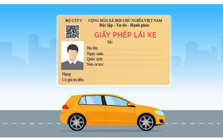 Sơ đồ phân loại bằng lái xe tại Việt Nam