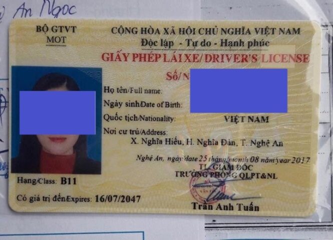 Bằng lái xe hạng B1 số tự động