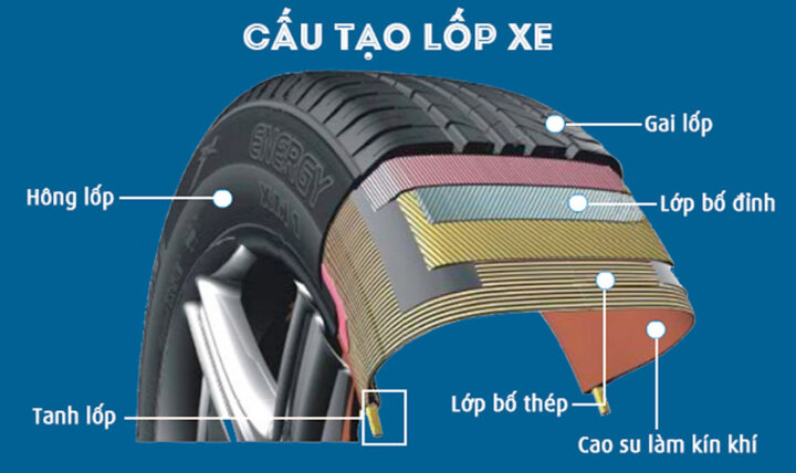 Infographic tổng quan về các ký hiệu và thông số trên lốp xe ô tô, cung cấp kiến thức về lốp xe cơ bản.