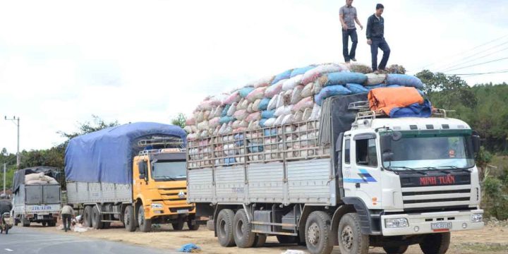 Niên hạn và điều kiện nhập khẩu các loại xe ô tô cũ.