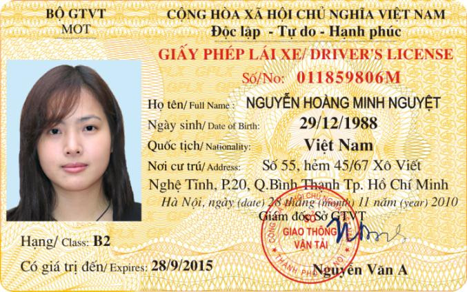 Tổng quan hệ thống phân loại bằng lái xe ô tô tại Việt Nam