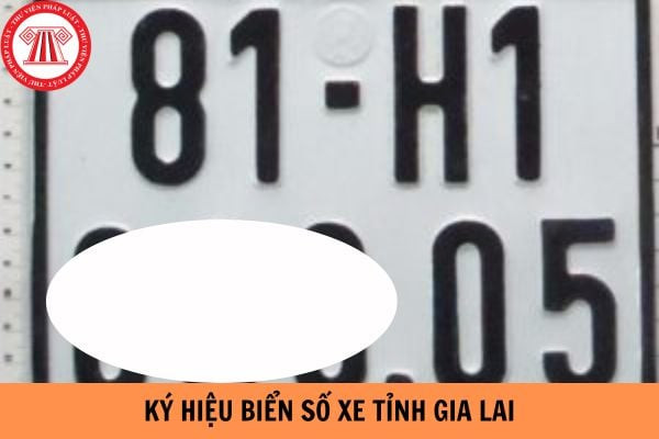 Bản đồ hành chính tỉnh Gia Lai và ký hiệu biển số xe ô tô 81