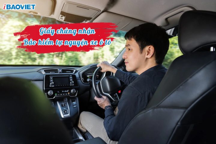 giay chung nhan bao hiem tu nguyen xe o to