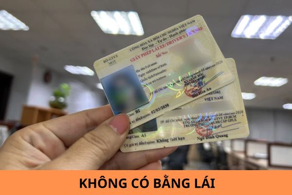 khong co bang lai