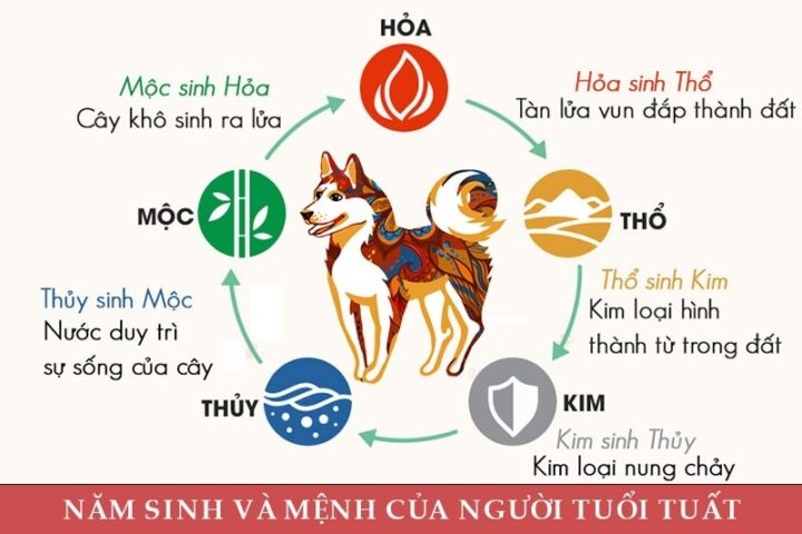 Bảng tổng hợp năm sinh và mệnh ngũ hành của người tuổi Tuất để chọn màu xe ô tô phong thủy