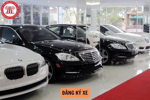Đèn xi nhan xe ô tô báo hiệu khi lùi xe và mức phạt vi phạm