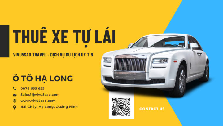 Các loại hình dịch vụ thuê xe ô tô abc phổ biến, từ tự lái đến có tài xế