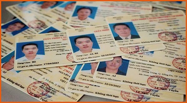 Hình ảnh minh họa các loại bằng lái xe ô tô phổ biến tại Việt Nam