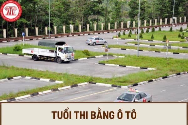 Độ tuổi thi bằng lái xe ô tô theo quy định mới nhất