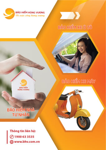 flyer 3 sp 01